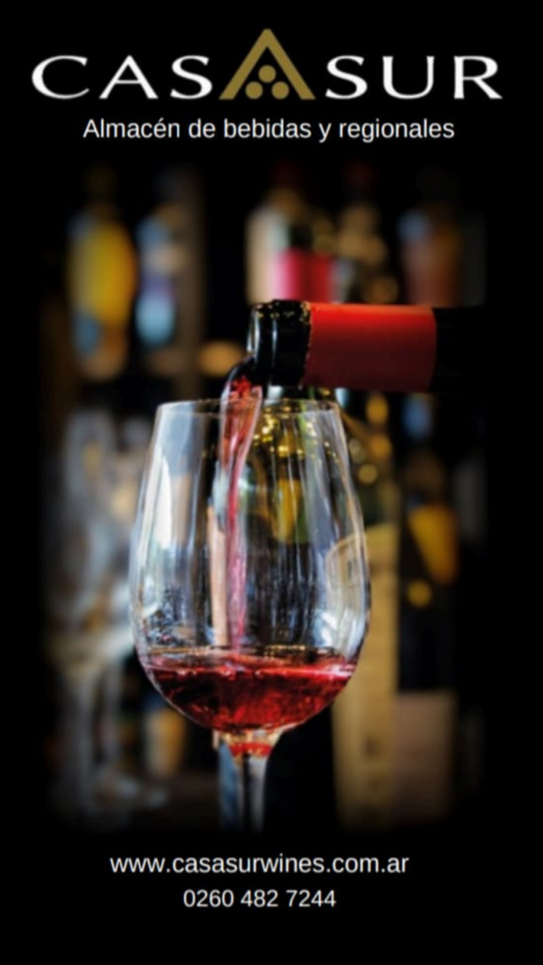 logo de casa sur 768x1365